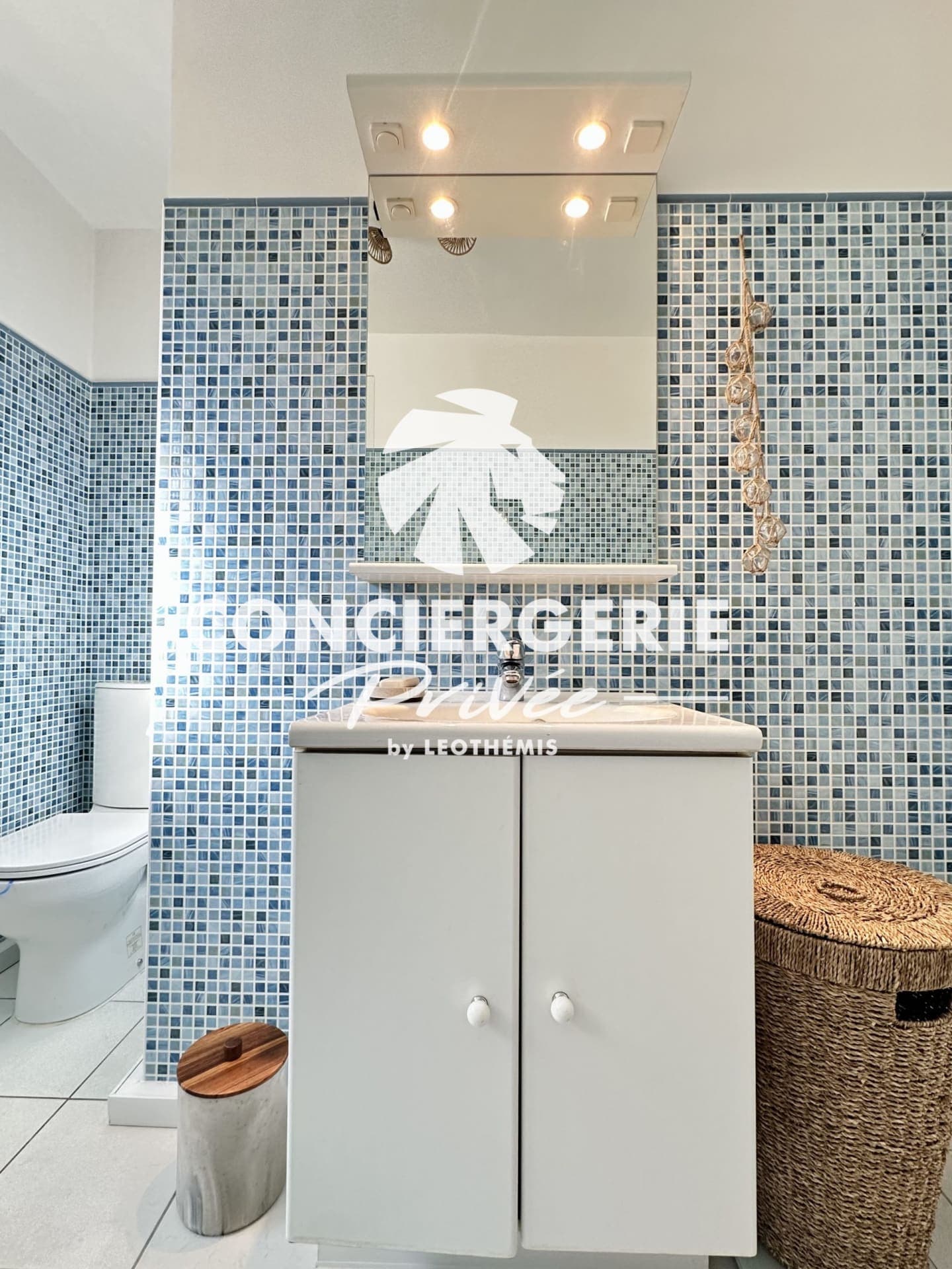 L'INSOUPÇONNÉE - Ronce-les-Bains - photo 35