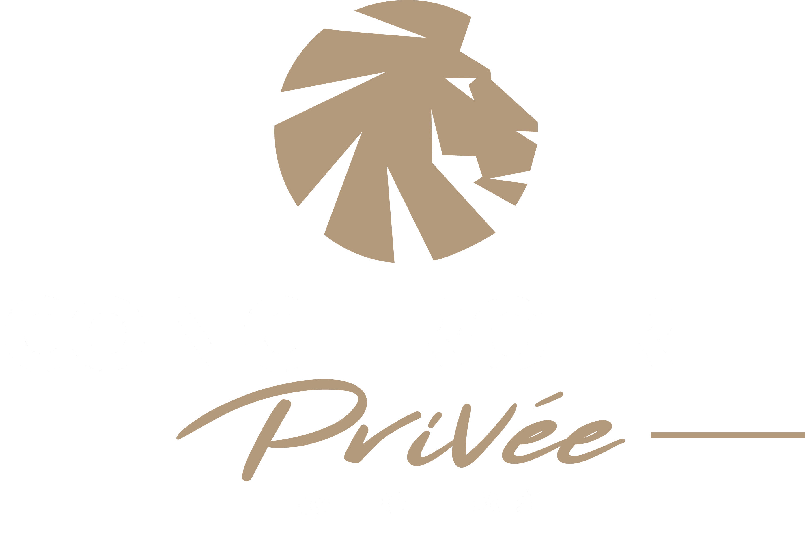 Conciergerie Privée by LEOTHÉMIS