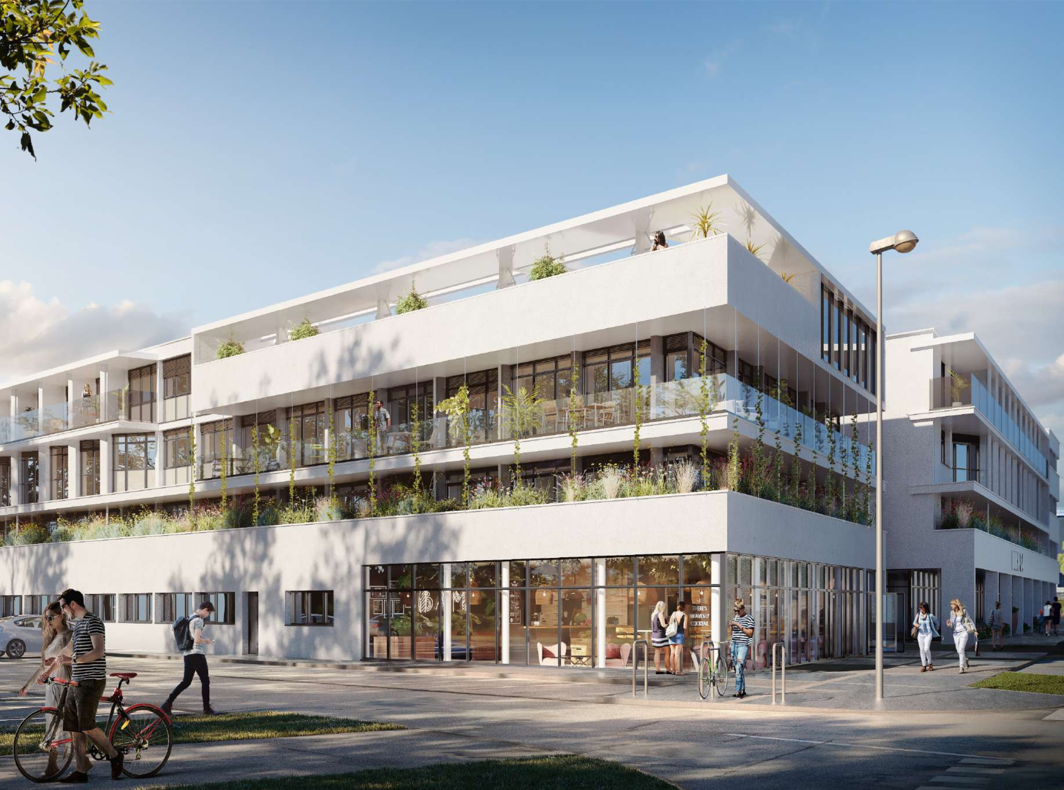 Capture d’écran 2025-12-31 à 12.31.47